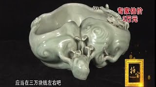 清中期的豆青釉仿生灵芝大洗子, 民窑精品 价值3万【拍宝20200912】