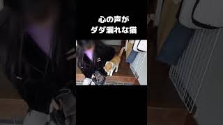 ハーネスを装着時にお願いすること