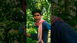 শালা কুত্তার বাচ্চা বাপের মালের দিকে নজর দিস😂🤣😂#shorts #funnyvideos #trending#funny #ytshorts