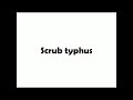 scrub typhus microbiology med vids made simple