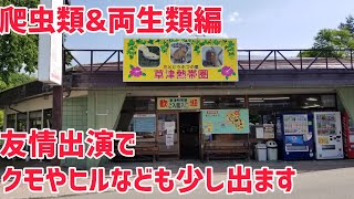 草津熱帯圏の爬虫類、両生類を紹介Introducing reptiles and amphibians in the Kusatsu Tropical Wonderland