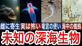 深海に生息する未知の生物に関する雑学5選【ずんだもん】