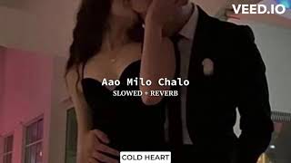 Aao Milo Chalo (SLOWED + REVERB) | Shaan, Ustad Sultan Khan | COLD HEART