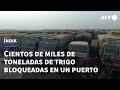 Cientos de miles de toneladas de trigo bloqueadas en un puerto indio | AFP