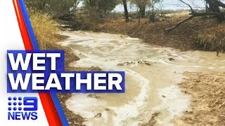 Rain hits hard in drought stricken Queensland | Nine News Australia