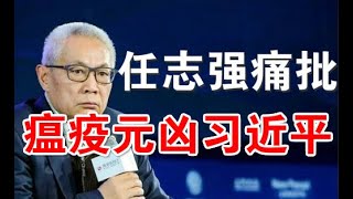 要文：任志强痛批习近平象剥光了衣服也要坚持当皇帝的小丑（全文）