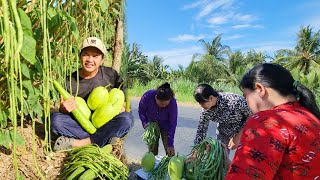 Hai Vợ Chồng Rất Vui Mừng Khi Thu Hoạch Thành Quả Đem Ra Lộ Bán Cũng Kha Khá | TTVlog