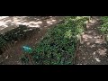 kallar park mettupalayam part 2 kallar horticulture garden அரசு தோட்டக்கலை பண்ணை