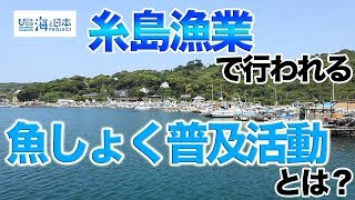 糸島漁業協同組合の取り組み 日本財団 海と日本PROJECT in ふくおか 2019 #02