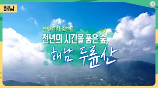 [특별기획 숲으로] 천년의 시간을 품은 숲, 해남 두륜산 [어바웃 우리동네] 08/22(월)