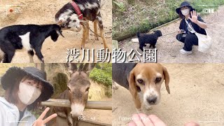 【かわいい】渋川動物公園で動物と戯れてきた。