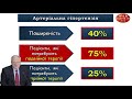 Контролюємо ефективність антигіпертензивноі терапії. Федоров С.В. Рябенко Д.В.