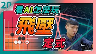 【貓劍客圍棋講座】AI驚棋再現20｜飛壓定式後續變化