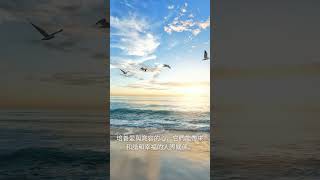 每日一句心靈雞湯 心靈雞湯分享 心靈雞湯句子 心靈雞湯 EP 10 #shorts #心靈雞湯 #精選名言 #心靈語錄 #創業語錄