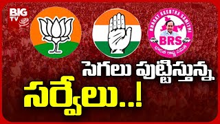 Survey Reports on Karimnagar Leaders : ఉమ్మడి కరీంనగర్ జిల్లా నేతలకు సర్వేల గుబులు..! | BIG TV