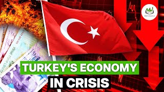 The Turkey Economy Collapse: How We Got Here