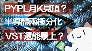 谷歌惨烈闷杀；AMD找跌；这家公司本年会继续大涨吗？$AMD $GOOG $VST $PYPL｜2月4日喵喵美股点评