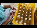 bscagriculture practical mass production of biofertilizer life of agri student