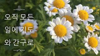 주안에서 항상 기뻐하라....빌립보서4:4-7 말씀과 아름다운 꽃들