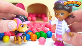 The Paw Patrol pups are Sick! Can Doc McStuffins help them feel better?
