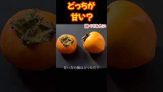 鳥は渋柿を食べずに甘柿をちゃんと食べるけどどうやって判断しているの？ #柿  #persimmon #shorts #検証