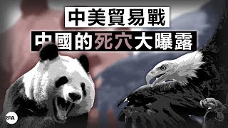 【桑海神州】2018年3月28日 中美貿易戰曝露了中國的死穴與危機