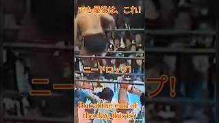 【１分プロレス】これがカーンのニードロップだ！💯🐇#プロレス #youtubeshorts #youtube #wrestling #shortvideo #shorts #short #sports