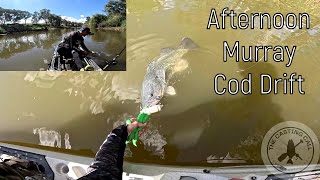 Afternoon Drift l The Casting Call l Murray Cod