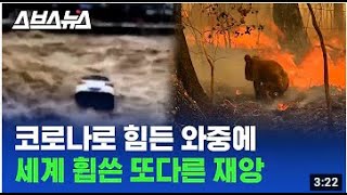 스브스뉴스- 코로나로 힘든 와중에 세계 휩쓴 또다른 재앙