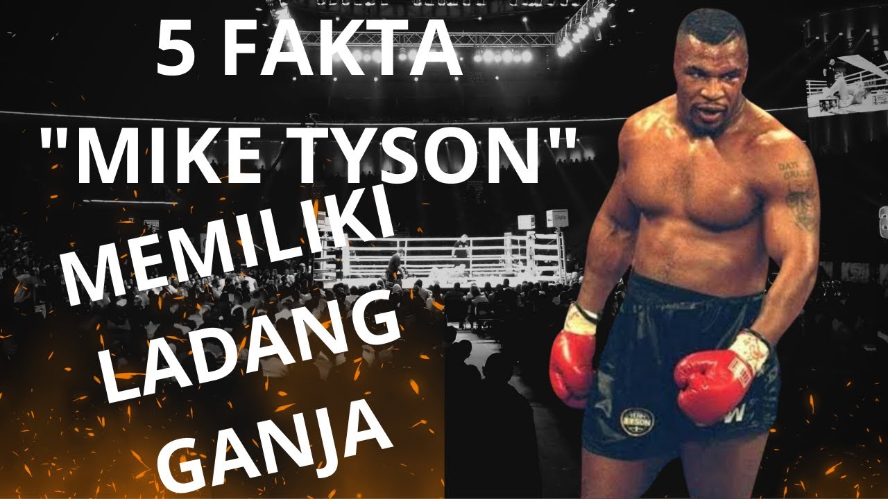 5 FAKTA MIKE TYSON DI LUAR RING TINJU!!!!Hingga Memiliki Ladang Ganja ...