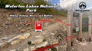 Waterton Lakes National Park - Hiking, Fishing, Bears, and Buffalo