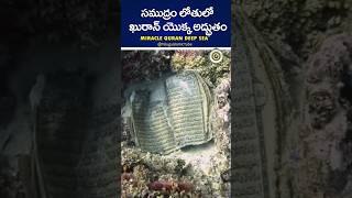 సముద్రం లోతులో ఖురాన్ యొక్క అద్భుతం 🤲  #shorts #facts #trending #ytshorts