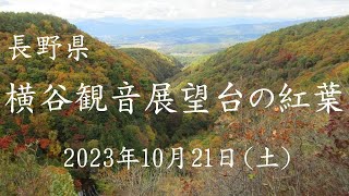 横谷観音展望台の紅葉－2023年10月21日(土)