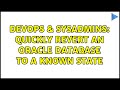 DevOps & SysAdmins: Quickly revert an Oracle Database to a known state (3 Solutions!!)