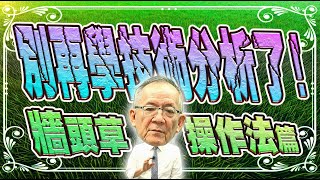 【財經龍捲風】別再學技術分析了 ! 『牆頭草 操作法 篇』｜Mr.李永年