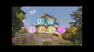 2021年6月21日から6月27日放送分「第14回小田原城ミュージックストリート出演者募集のお知らせ」「特定健診・がん検診のお知らせ(再放送)」