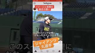 【縦振り】#できるかな？#Shorts #baseball #野球 #丸選手 #読売ジャイアンツ