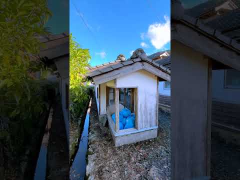 What factors promote farming in Japan?