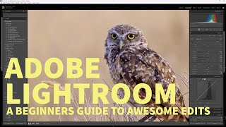 MASTERING THE BASICS OF ADOBE LIGHTROOM