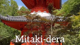 Mitaki- dera / Hiroshima