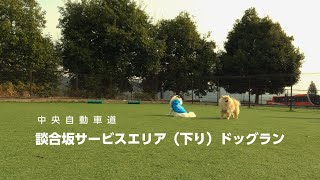 Chuo Expressway, Dangozaka Service Area (downhill) dog park!