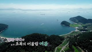 [UHD 다큐 풍경] 싱그럽게 짙어가는 푸른 미소 여름 / 연합뉴스TV (YonhapnewsTV)