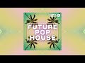 Sample Tools by Cr2 - Future Pop House (Sample Pack)