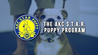 AKC S.T.A.R. Puppy Program