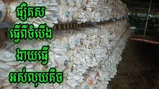 ផ្សិតសធ្វើពីចំបើងងាយធ្វើអស់លុយតិច #តោះរៀនបណ្តុះផ្សិត #Let's learn to grow mushrooms