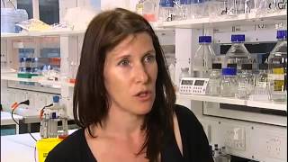 ABC Health Quarter report with the Florey's Stephanie Bissiere June 2012