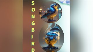 SONGBIRD COIN‼️ 72X YOUR MONEY THIS BULLRUN💵