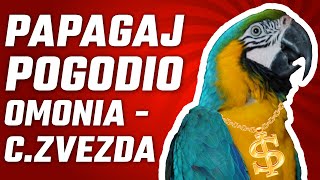 PAPAGAJ POGODIO OMONIA - CRVENA ZVEZDA | Fudbalski kutak: Udarac iz ugla #13