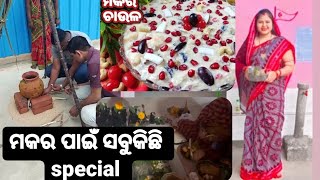 ଆସନ୍ତୁ ଦେଖିବା ମୁଁ ଗାଁରେ କେମିତି ପାଳିଲି ମକର ସଂକ୍ରାନ୍ତି||shraddhaodiavlogs