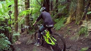 Giant 2W Gravity Enduro - Giant RAW